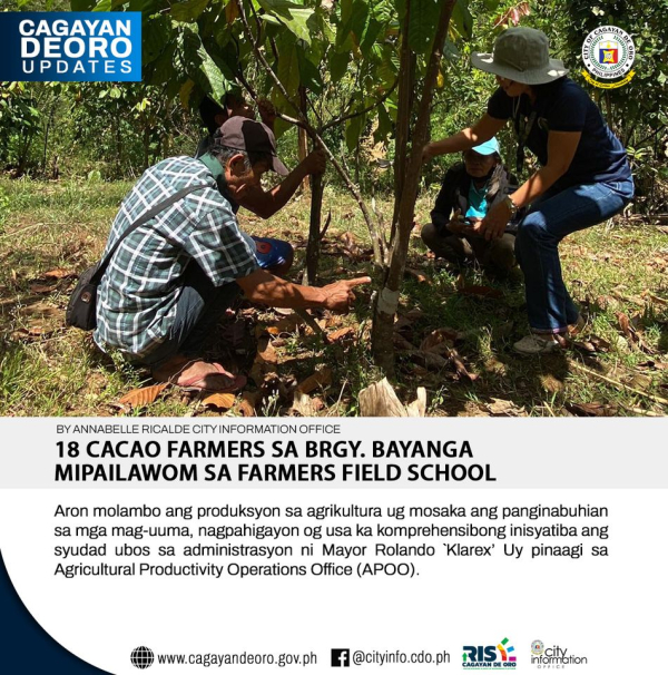18 CACAO FARMERS SA BRGY. BAYANGA  MIPAILAWOM SA FARMERS FIELD SCHOOL