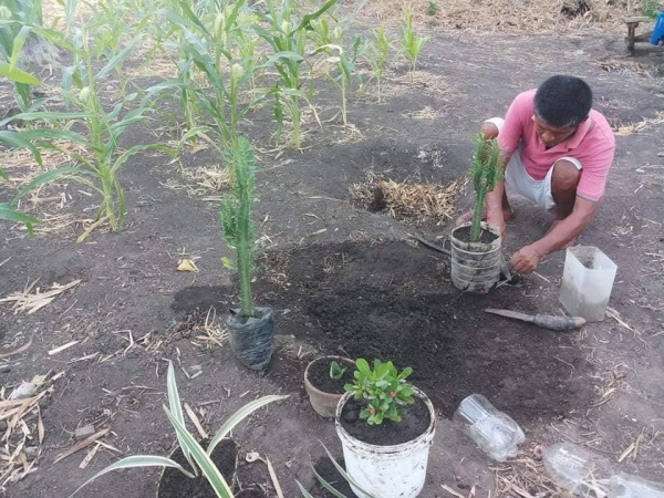 Family garden: Source of food and extra income amid COVID-19